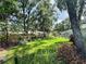 Lush backyard featuring a sprawling lawn, mature trees, and colorful landscaping at 11501 Norval Pl, Temple Terrace, FL 33617