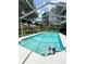 Sparkling screened-in pool with clear blue water and a fun beach ball at 11501 Norval Pl, Temple Terrace, FL 33617
