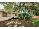 Backyard with palm trees and greenery, offering a tranquil space with room for outdoor activities at 11783 102Nd Ave, Largo, FL 33778