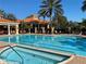 Resort-style pool surrounded by palm trees, comfortable lounge chairs, and manicured landscaping at 1353 El Pardo Dr, Trinity, FL 34655