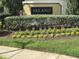 Welcome to Salano, a beautiful community featuring manicured landscaping and a welcoming entrance at 1353 El Pardo Dr, Trinity, FL 34655