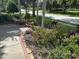 Street view of a well-maintained front yard with colorful flowerbeds and lush greenery by the sidewalk at 1353 El Pardo Dr, Trinity, FL 34655
