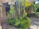 Well-maintained front yard with lush green plants, brick pavers, and tropical landscaping near the walkway at 1353 El Pardo Dr, Trinity, FL 34655