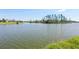 Expansive lake view showcases a picturesque waterfront community with mature trees, and tranquil waters at 1717 Danbury Dr, Sun City Center, FL 33573