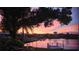 Scenic sunset view from the property, highlighting the tranquil lake and beautiful landscaping at 1717 Danbury Dr, Sun City Center, FL 33573