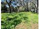 Lush greenery and mature trees create a peaceful setting for this large, picturesque lot at 1821 Weekend Ln, Odessa, FL 33556