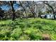 Lush greenery and mature trees create a peaceful setting for this large, picturesque lot at 1821 Weekend Ln, Odessa, FL 33556
