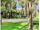 Lakeside volleyball court and picnic area surrounded by mature trees offer a perfect recreational spot at 1821 Weekend Ln, Odessa, FL 33556
