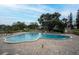 Large community pool with many lounge chairs for sunbathing and mature shade trees nearby at 2222 Norwegian Dr # 16, Clearwater, FL 33763