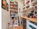 Walk-in pantry with organized shelving, counter space, and beverage cooler at 3503 Graycliff Ln, Brandon, FL 33511