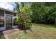 A backyard featuring tropical foliage and screen patio access at 3733 Mendocino St, New Port Richey, FL 34655