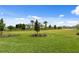 Expansive grassy backyard with lush landscaping in a serene neighborhood setting at 6072 Silver Grass Ct, Nokomis, FL 34275