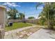 Spacious backyard with lush green grass, mature palm trees, and a full privacy fence at 6944 80Th N Ave, Pinellas Park, FL 33781