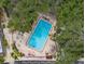 Top-down aerial view of a pool area surrounded by lush greenery and inviting lounge areas at 720 Lyndhurst St # 1101, Dunedin, FL 34698
