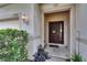 Close-up of the front door showcasing decorative details and a welcoming entrance at 7603 Wood Violet Dr, Gibsonton, FL 33534