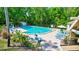 Enjoy a large community swimming pool surrounded by lounge chairs and lush tropical landscaping at 900 Maclaren N Dr # D, Palm Harbor, FL 34684