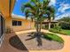 Backyard featuring a gazebo and lush tropical landscaping including mature palm trees at 9951 121St St, Seminole, FL 33772