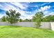 Large, fenced backyard with healthy green lawn and mature trees, perfect for Gathering activities at 11011 Little Blue Heron Dr, Riverview, FL 33579