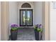 Elegant double front doors enhanced with decorative glass accents and stylish planters at 12607 Pensacola Ct, Riverview, FL 33579