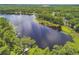 An aerial view of the lake from an angle revealing an island in the middle and trees surrounding it at 17906 Loretta Ln, Lutz, FL 33548