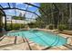 Beautiful in-ground pool with stone surround and screened enclosure, offering a private outdoor retreat at 17906 Loretta Ln, Lutz, FL 33548