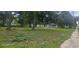 Lush backyard with mature trees and a distant view of house with an enclosed porch and storage sheds at 1908 S Kingsway Rd, Seffner, FL 33584