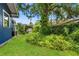 Large backyard with green grass, mature trees, and vibrant bushes offering privacy and shade at 217 W Powhatan Ave, Tampa, FL 33604