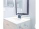 Bathroom vanity with sink, dark-framed mirror, and updated hardware at 220 Berry Tree Pl # 220, Brandon, FL 33510