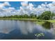 Serene lake view featuring a lush green shoreline and lily pads floating on the water at 22829 Saint Thomas Cir, Lutz, FL 33549