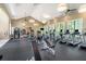Well-equipped gym with state-of-the-art cardio machines, free weights, and ample natural light at 3603 Tour Trce, Land O Lakes, FL 34638