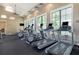 Functional gym space featuring modern cardio equipment and large windows offering scenic views at 3603 Tour Trce, Land O Lakes, FL 34638