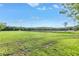 A sunny lot showcasing vibrant green grass, mature trees, and lush surroundings at 7400 Locust Ne St, St Petersburg, FL 33702