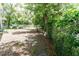 Fenced backyard area with mature trees at 11945 Darwin Ave, New Port Richey, FL 34654