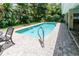 Private in-ground pool featuring a brick paver deck and lush tropical landscaping at 11945 Darwin Ave, New Port Richey, FL 34654