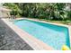 Relaxing pool with brick patio surrounded by lush landscaping for a private backyard oasis at 11945 Darwin Ave, New Port Richey, FL 34654