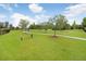 Dog park equipped with agility equipment and a grassy area for pets to play and socialize at 17378 Cruiser Bnd, Land O Lakes, FL 34638
