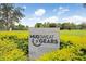 A welcoming community sign is surrounded by vibrant landscaping and open green space with recreational facilities at 17378 Cruiser Bnd, Land O Lakes, FL 34638