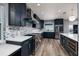 A modern kitchen featuring dark blue cabinets, stainless steel appliances, and a stylish backsplash at 3319 Bayshore Ne Blvd, St Petersburg, FL 33703