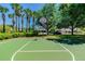 Full basketball court with green surface and community homes in the background at 4544 Vermillion Sky Dr, Wesley Chapel, FL 33544