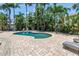 Picturesque backyard featuring a pool, lounge seating, and verdant, tropical landscaping at 555 21St Ne Ave, St Petersburg, FL 33704