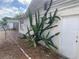Exterior view of property featuring a large cactus at 7519 Kensico Dr, Port Richey, FL 34668
