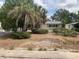 Lush front yard featuring tropical landscaping and mature trees at 7519 Kensico Dr, Port Richey, FL 34668