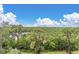 Scenic backyard featuring views of lush trees and green foliage at 8198 Terrace Garden Dr # 511, St Petersburg, FL 33709