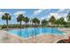 Community pool with safety features surrounded by palm trees at 9514 Channing Hill Dr, Sun City Center, FL 33573