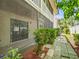 Rear patio featuring privacy screens and view of lush backyard and upper level balcony at 9804 Lombard Ct # 104, Tampa, FL 33618
