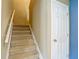 Carpeted stairway with white railing leading to the upper level of the home at 12121 Tree Haven Ave, Gibsonton, FL 33534