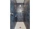 Shower featuring a subway tile surround, white hexagon tile floor, and built-in shelving niches at 132 Pennsylvania Ave, Palm Harbor, FL 34683