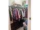 Walk-in closet with ample storage, shelves, and hanging space for clothing at 17361 Old Tobacco Rd, Lutz, FL 33558