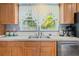 Kitchen sink with stainless steel appliances, wood cabinets, and a window overlooking the backyard at 2221 W Lake Dr, Wimauma, FL 33598