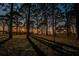 Peaceful community park with tall trees casting long shadows over lush green grass at 2700 Bayshore Blvd # 1206, Dunedin, FL 34698